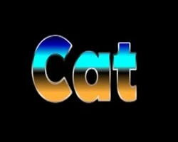 Cat Casino Бездепозитные бонусы в казино